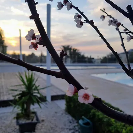Casa vacanze Verdi: Luxury With Private Pool *
